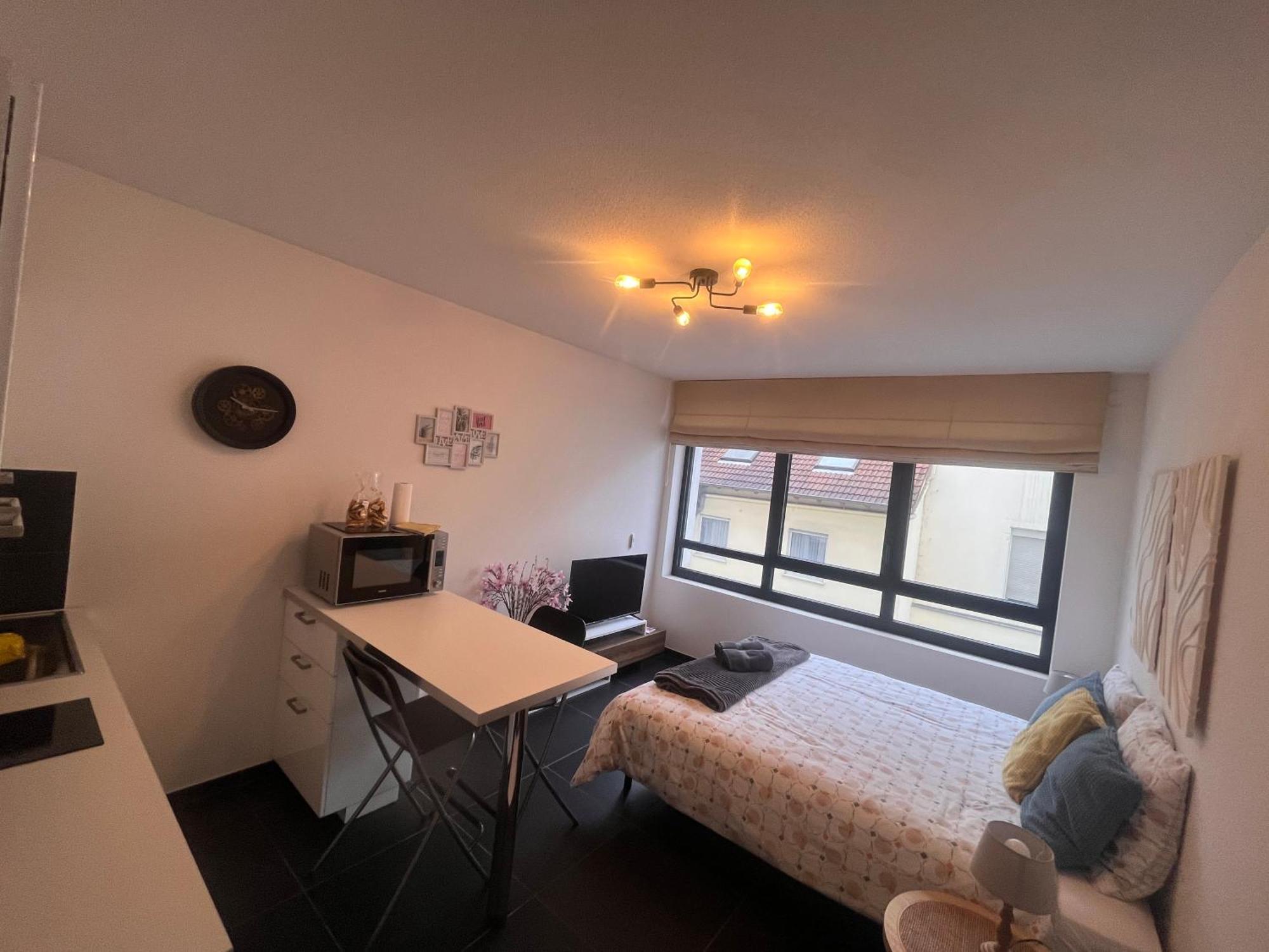 Nid Douillet De La Pie Apartman Strasbourg Kültér fotó